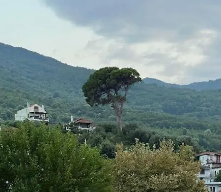 Anyfantis Appart hôtel *